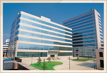 香蕉APP最新版安装实木家具 香蕉APP最新版安装实木家具